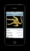 Deep Blue Sea - My first iPhone app